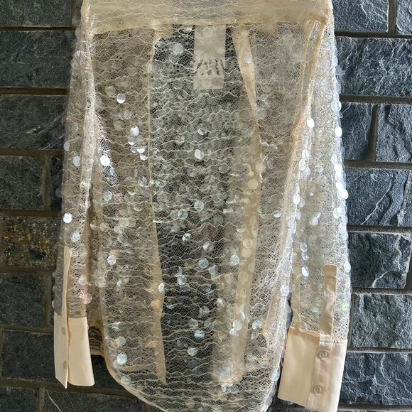 Zara Semi-Sheer Sequin Shirt - Picture 6 of 7